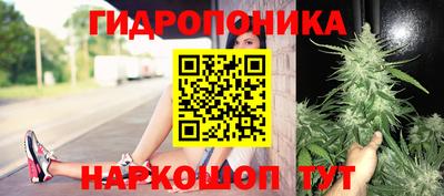 дурь Новодвинск