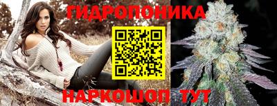 MDMA Новозыбков