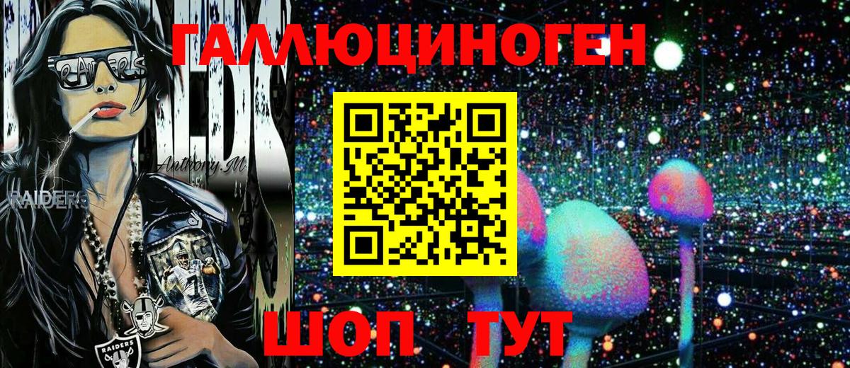Псилоцибиновые грибы Psilocybe Грозный